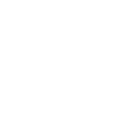 Dinámica Gestión